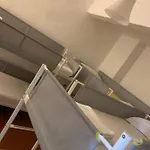 Short Stop Florens